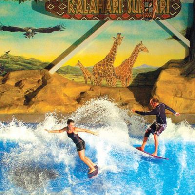OEM Flowrider Simulador de surf con bomba de agua de 65kw y PVC fuerte suave para parques acuáticos 15.3m * 9.3m