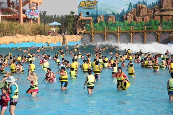 Piscina de la onda del parque del agua de la diversión de la familia para los niños o los adultos/el proyecto del parque del agua