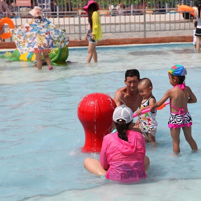 Equipo modificado para requisitos particulares del parque del espray del cartón de la carpa para la diversión de los niños/de los niños en piscina