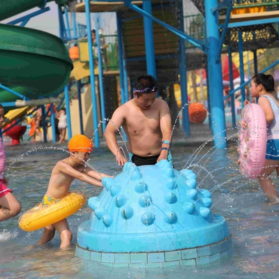 Diversión del juego de la aguamarina del espray del erizo del equipo del patio del agua de la fibra de vidrio para los niños