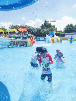 Parque acuático mariposa Estudio de viabilidad Jardín acuático para niños Equipo de juegos de agua Salpicaduras de agua